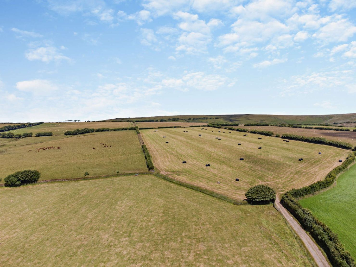 Lot 1