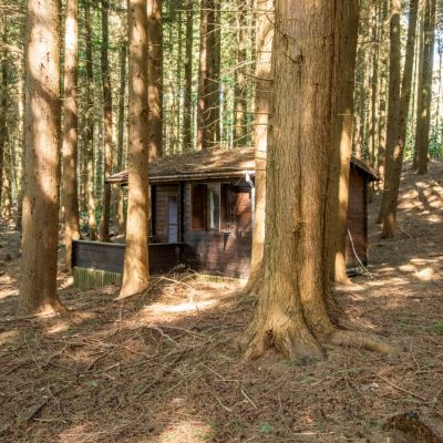 Woodland