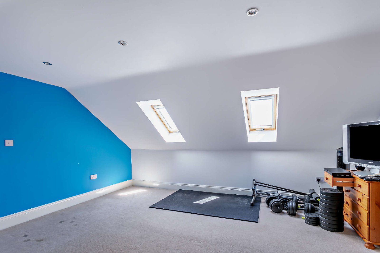 Bedroom/Gym