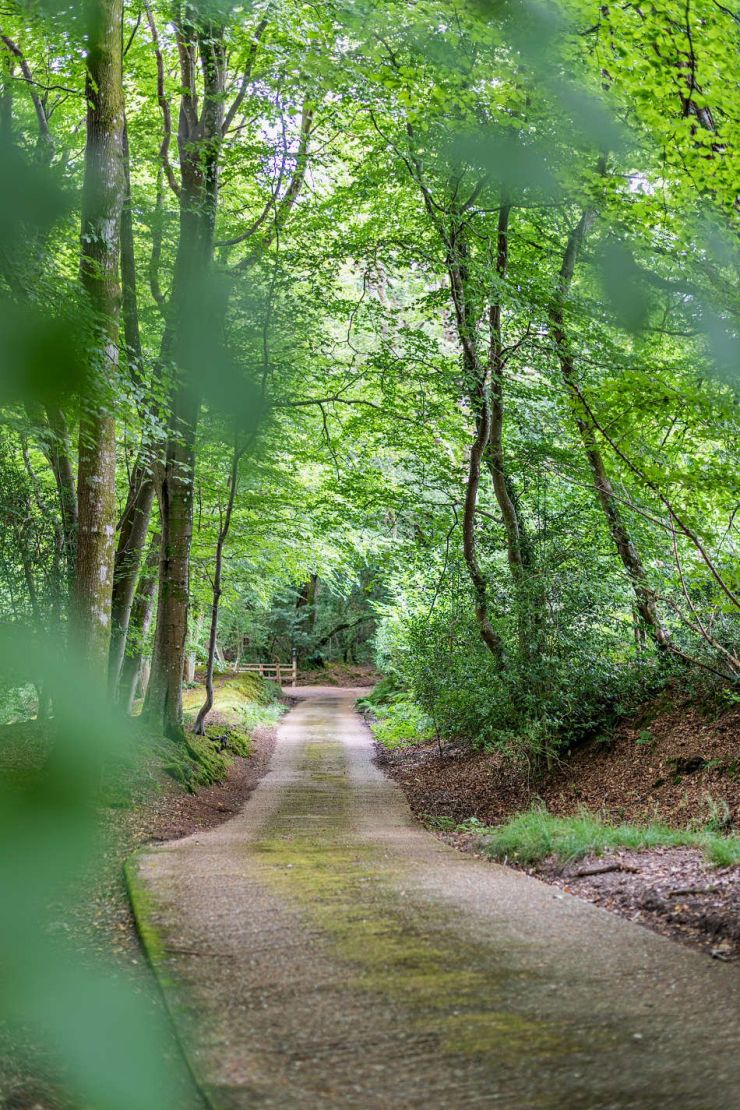 Driveway