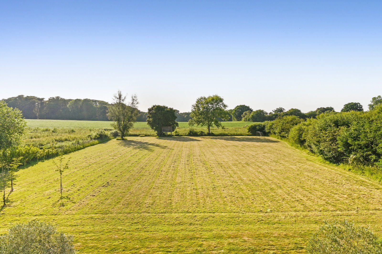 Grounds