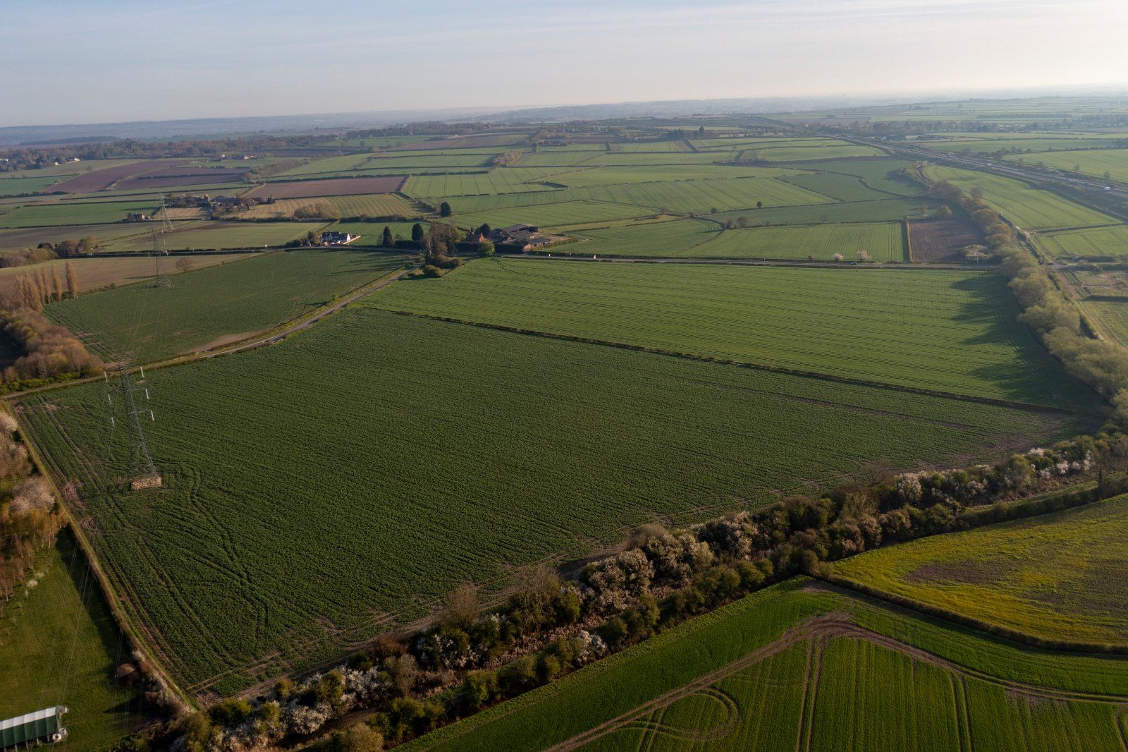 Whole Farm