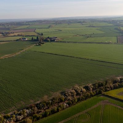 Whole Farm