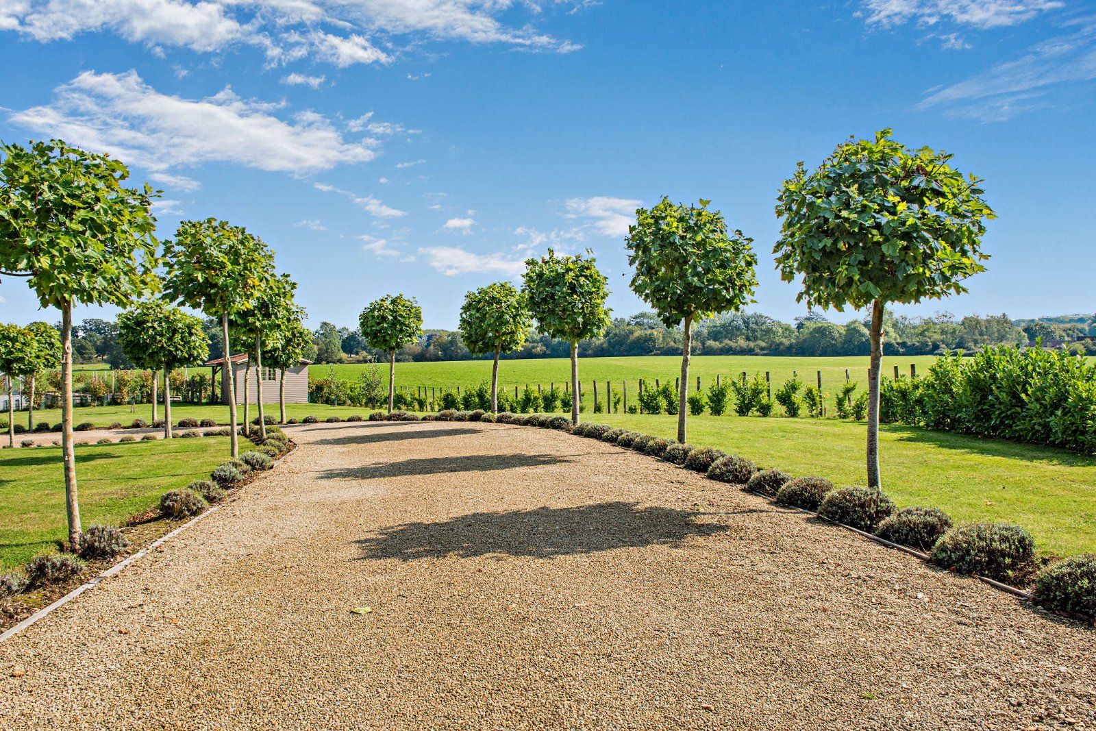 Driveway