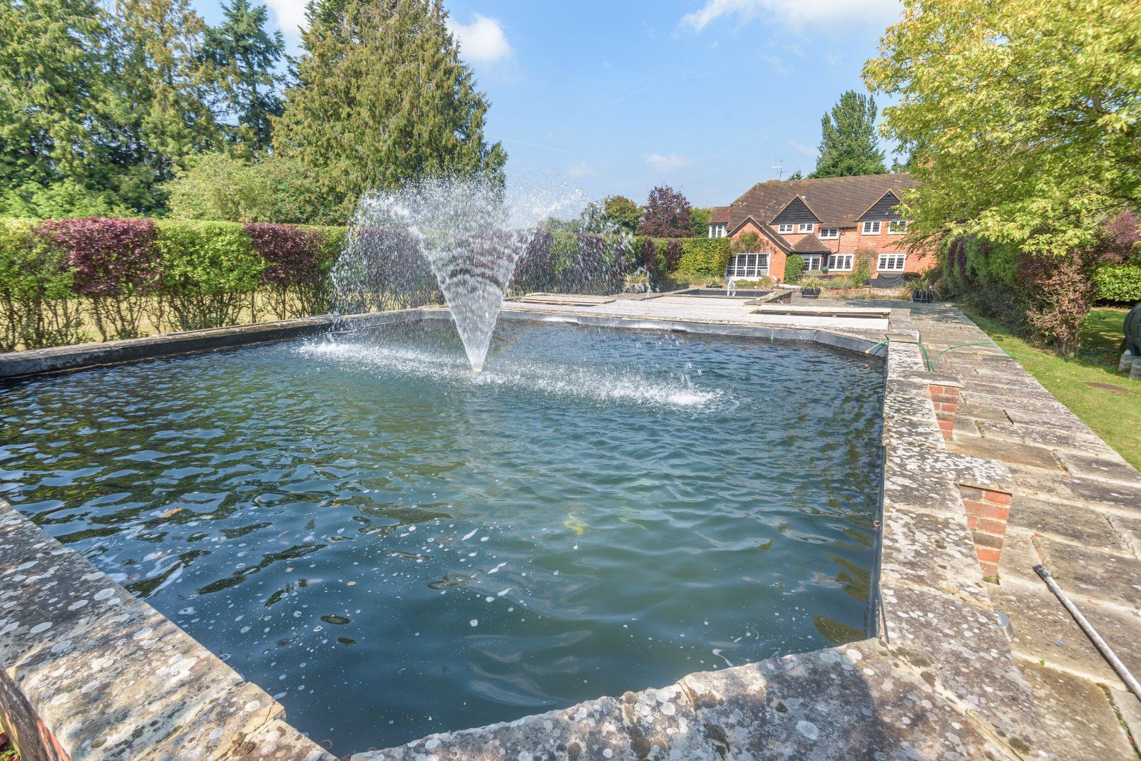 Water Feature