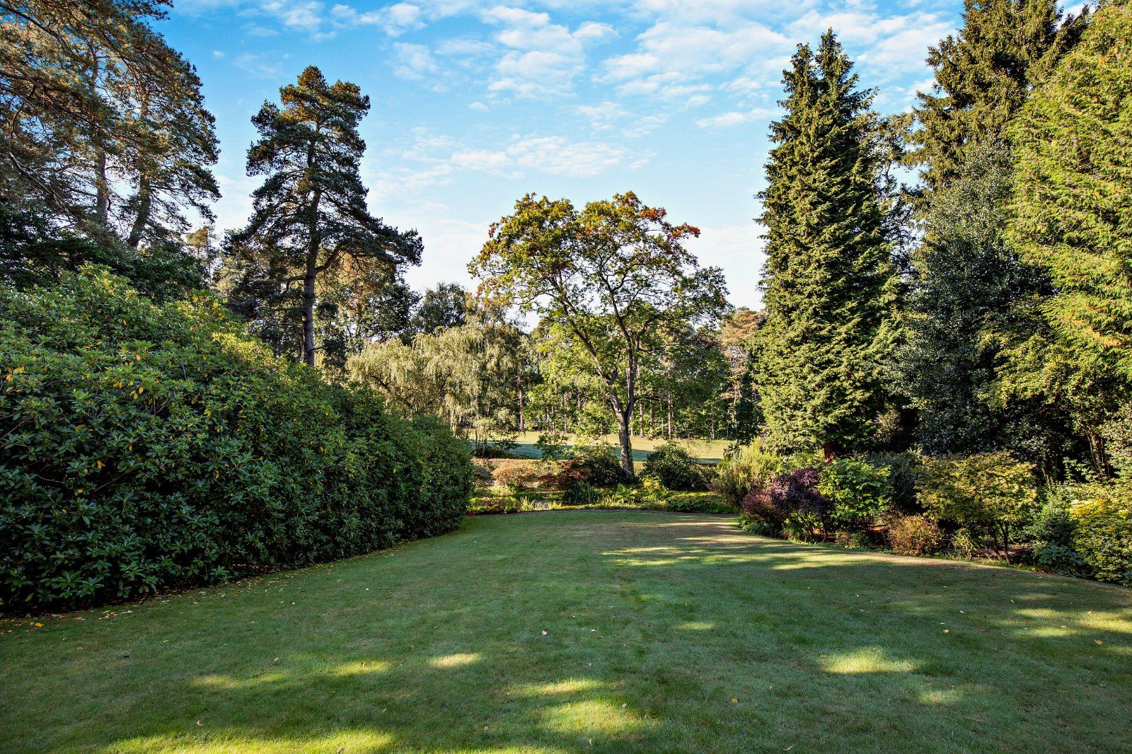 Communal Gardens