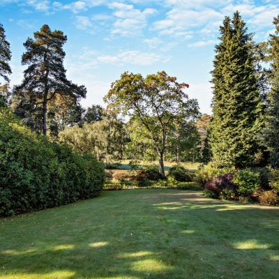 Communal Gardens