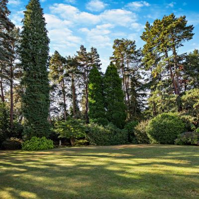 Communal Gardens