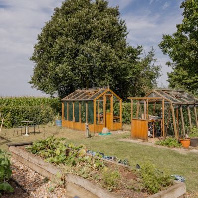 Vegetable Garden