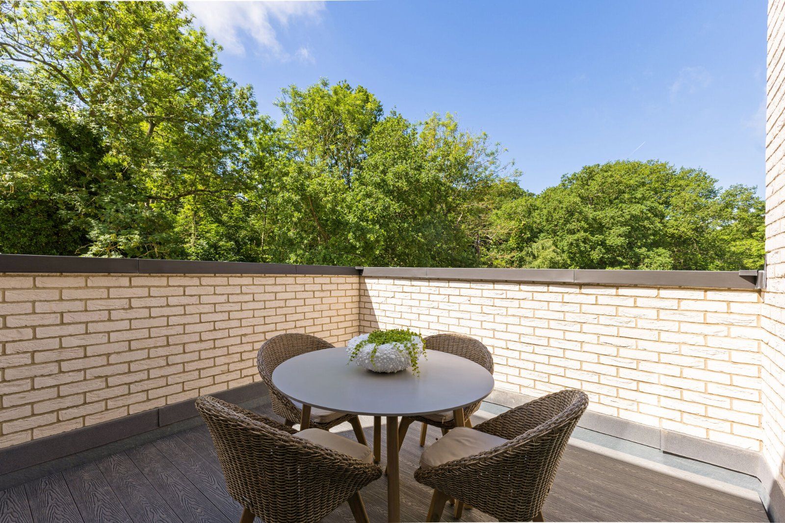 Roof Terrace