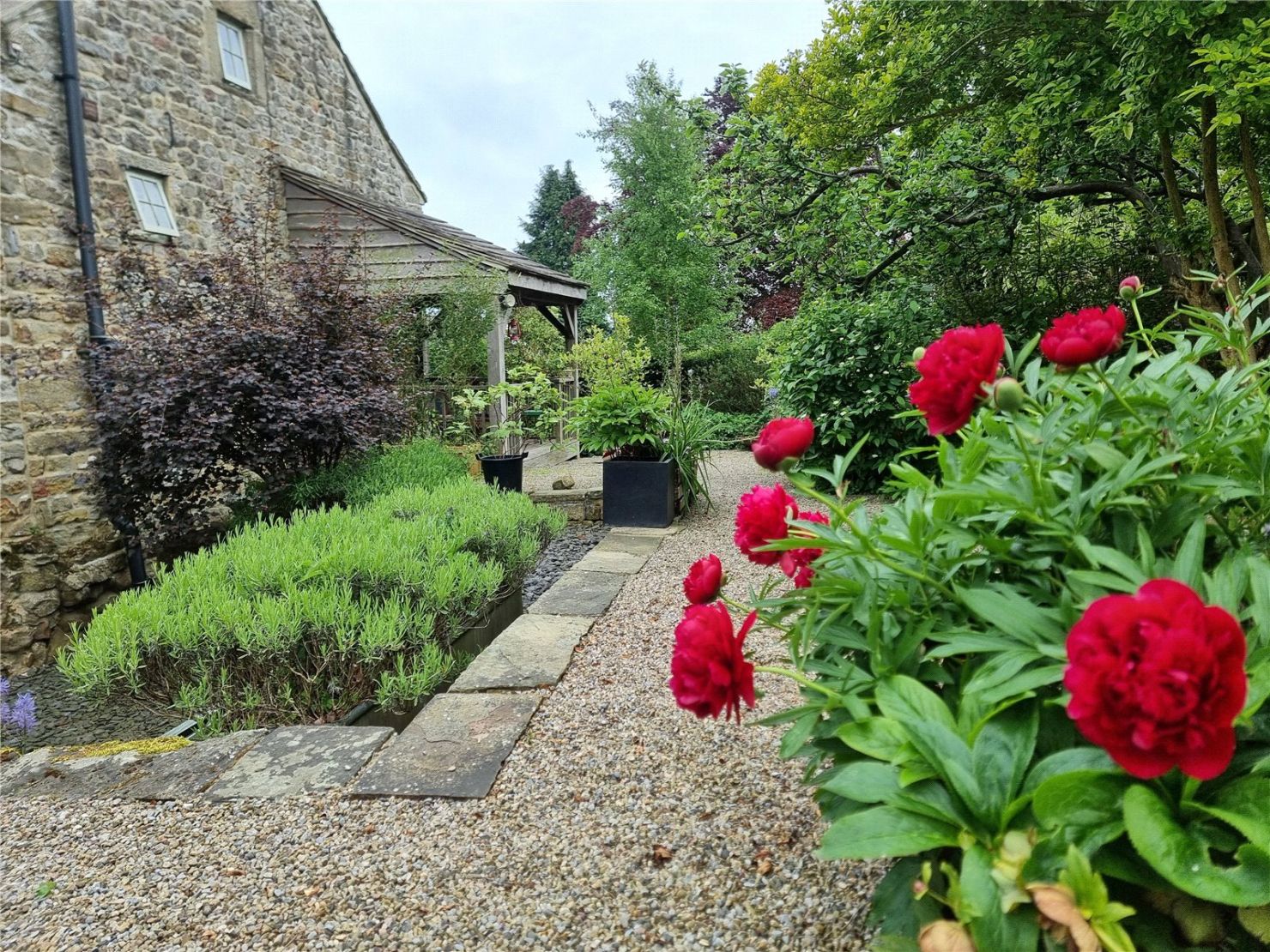 Garden In Summer