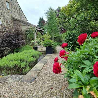 Garden In Summer