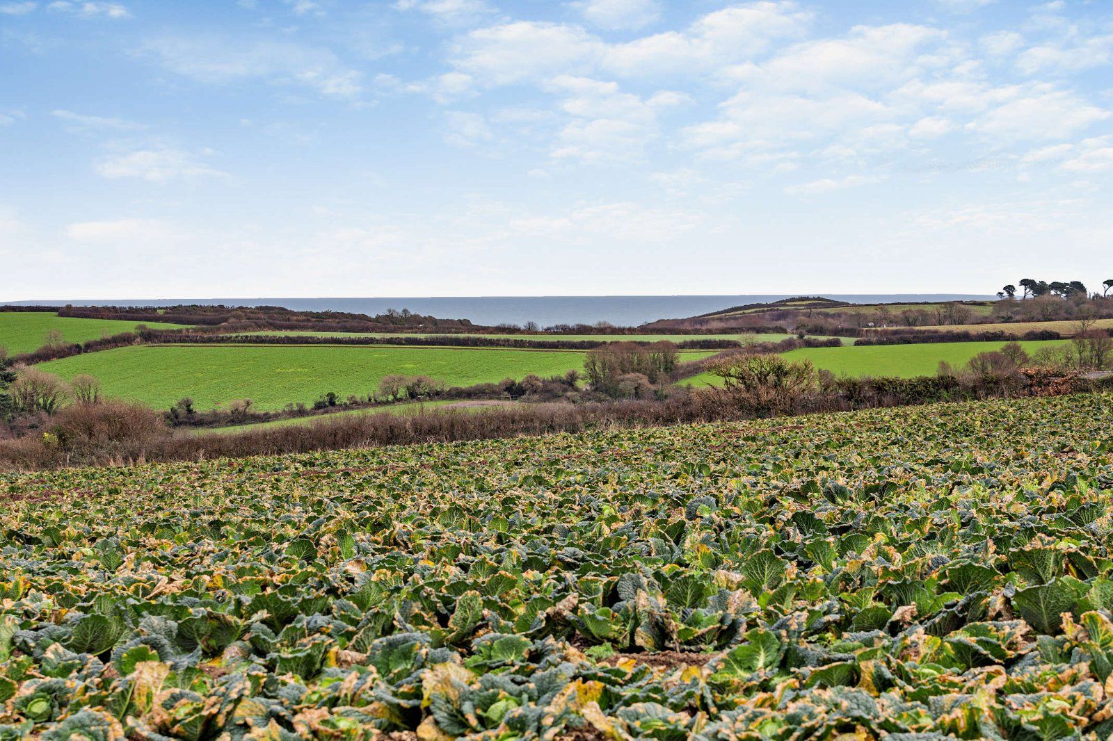 Trewothack Farm