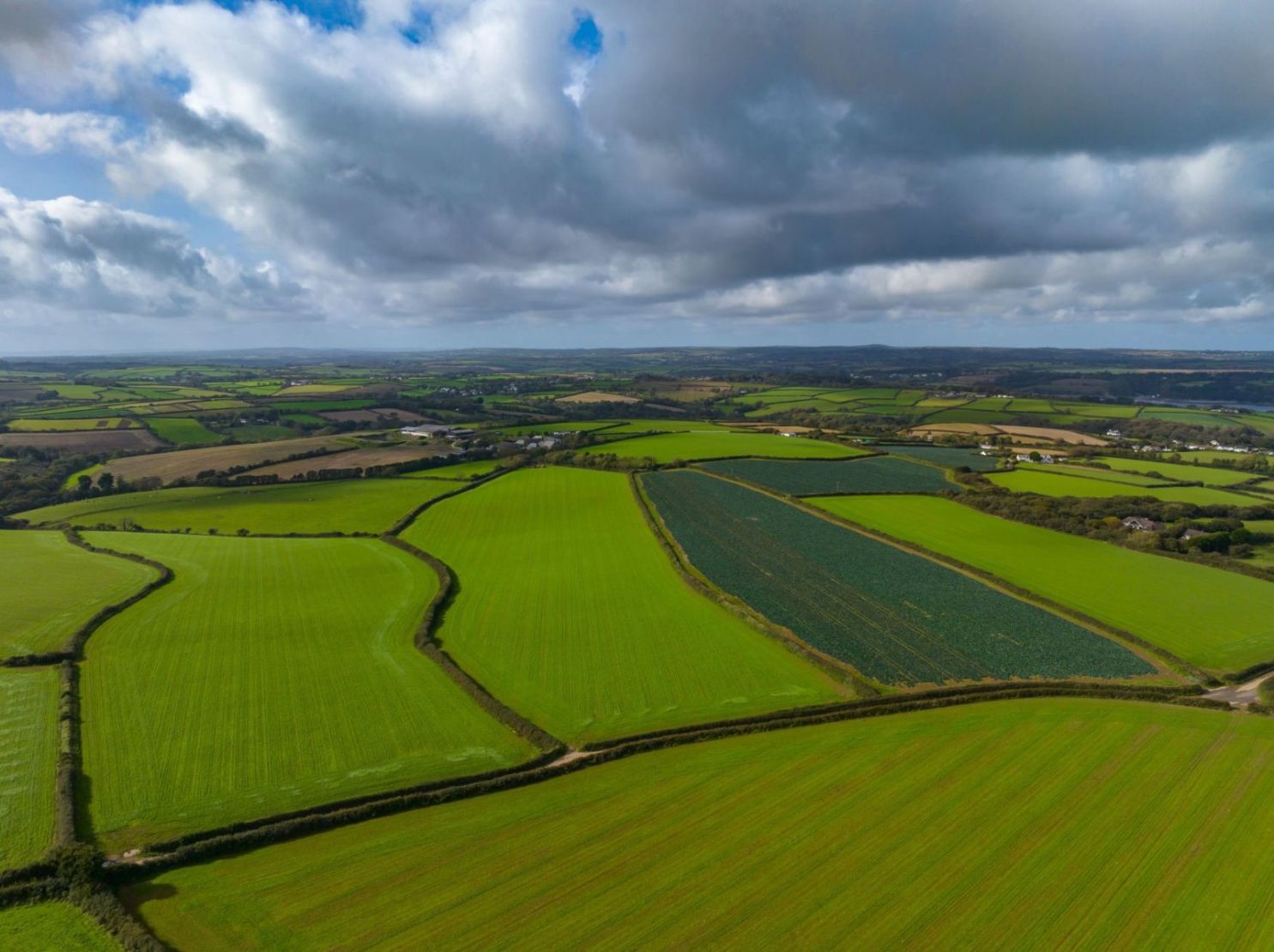 Trewothack Farm