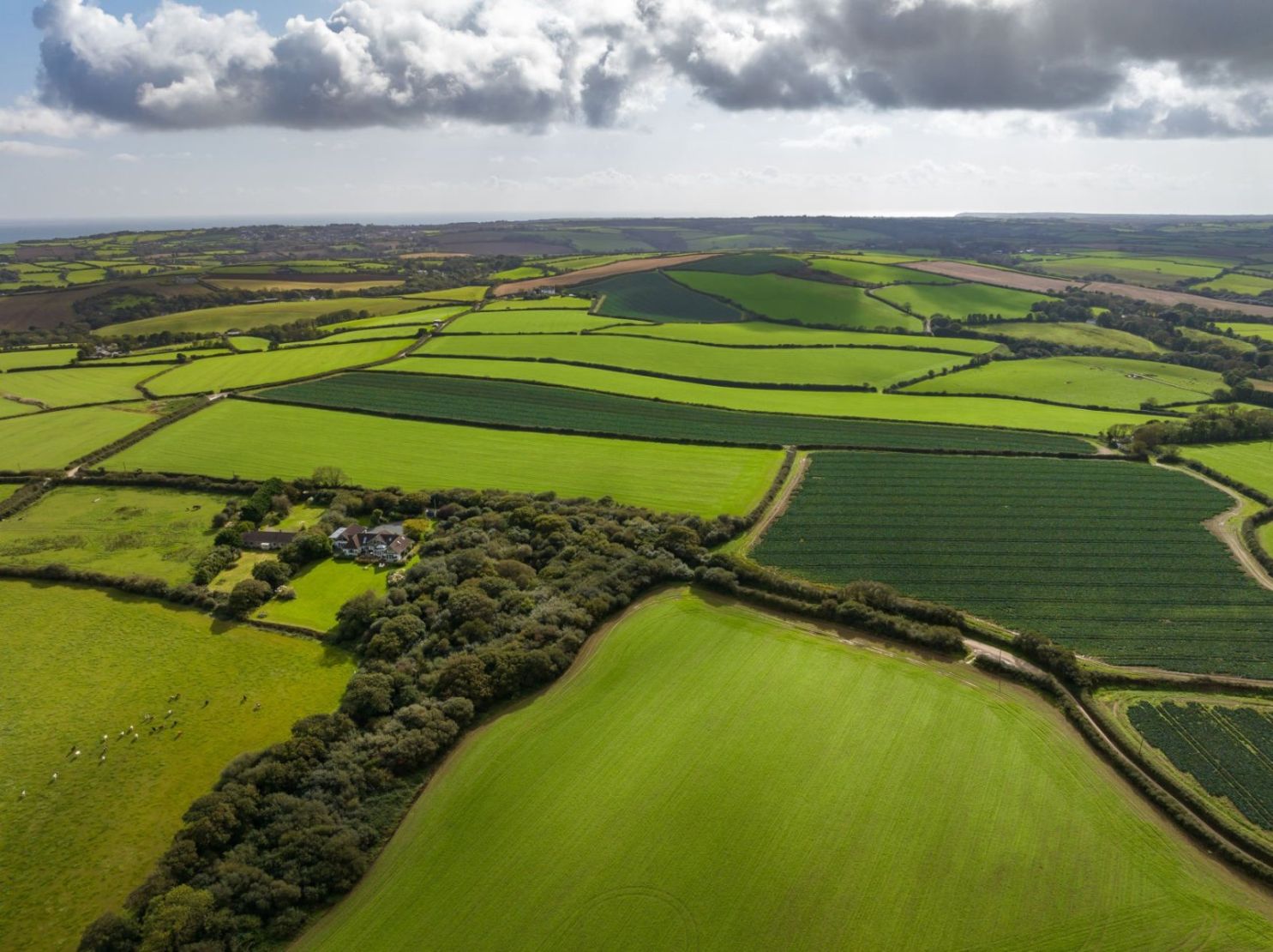 Trewothack Farm