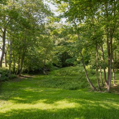 Woodland Dell