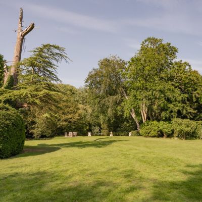 Front Lawn