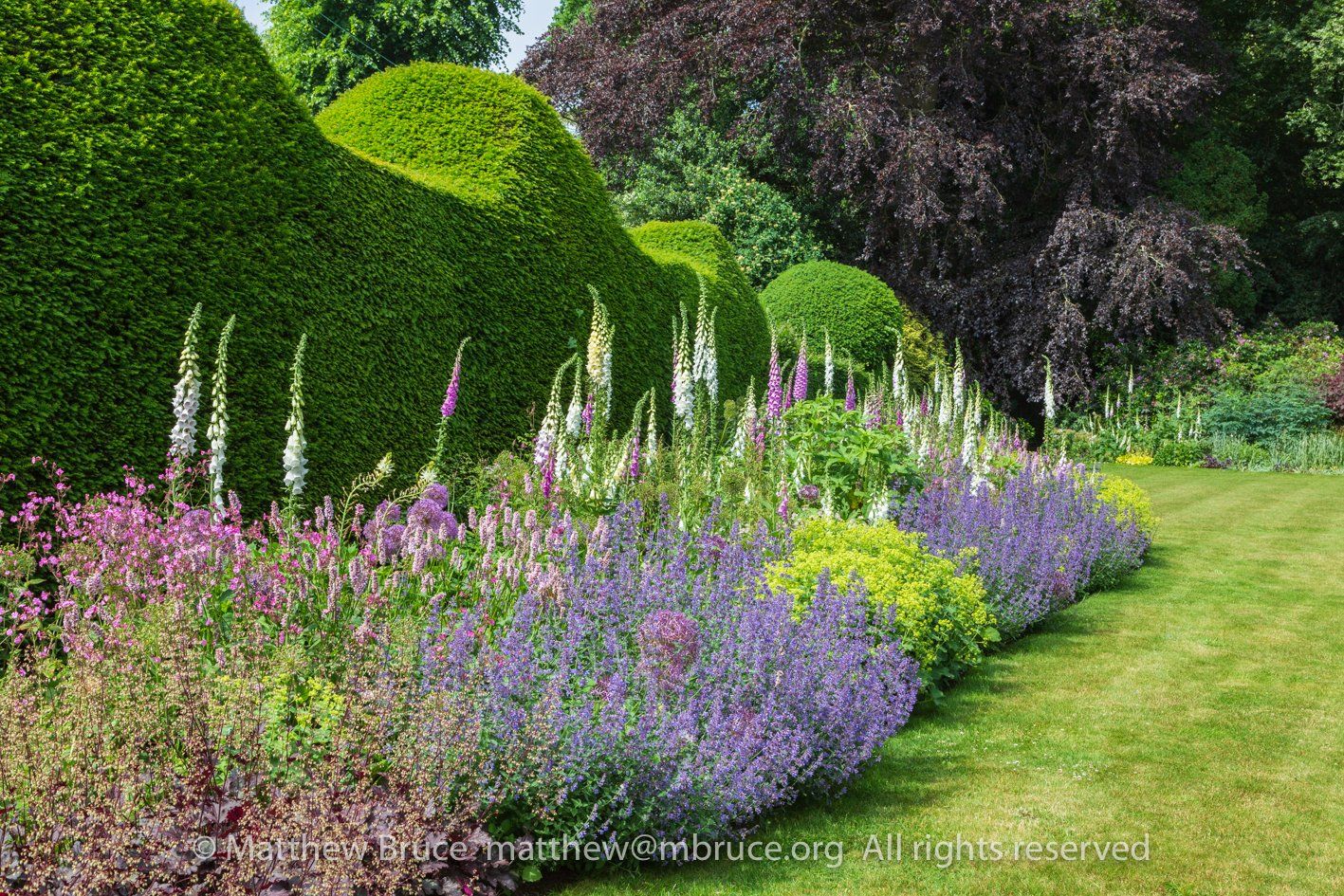 Vendor Summer Garden