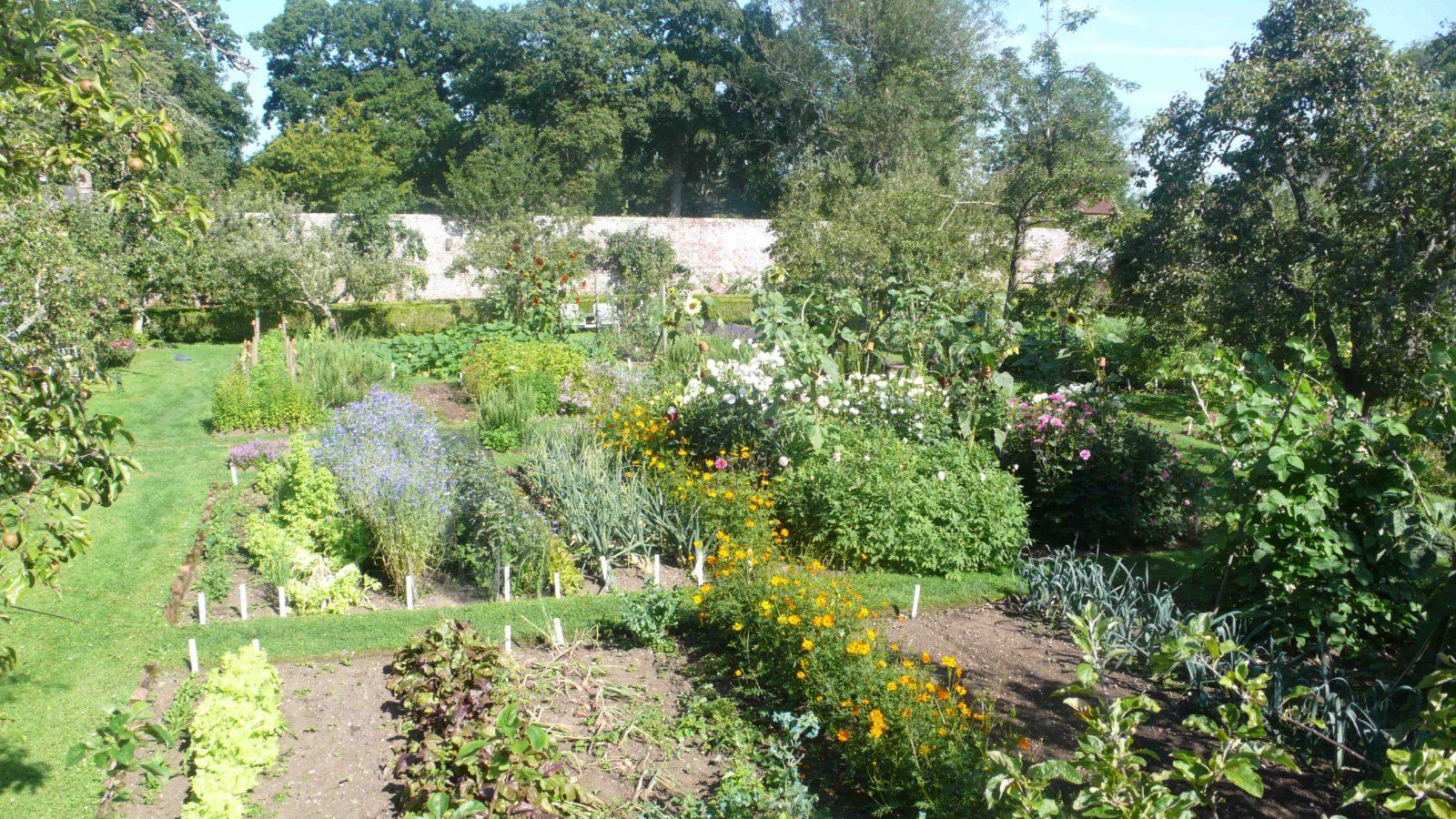 Summer Walled Garden