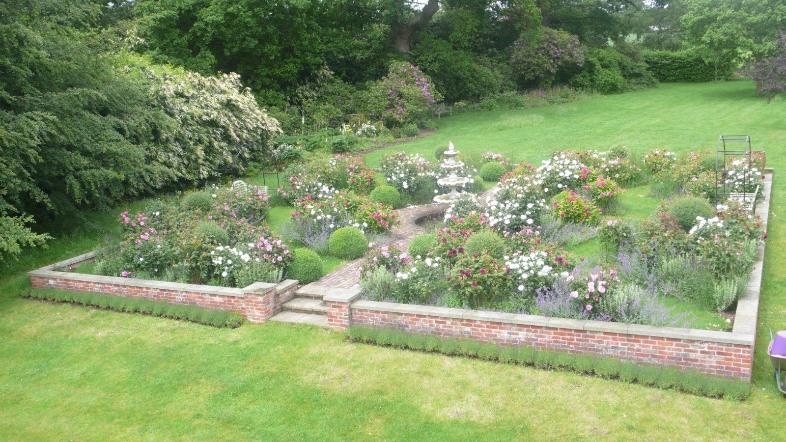 Rose Garden