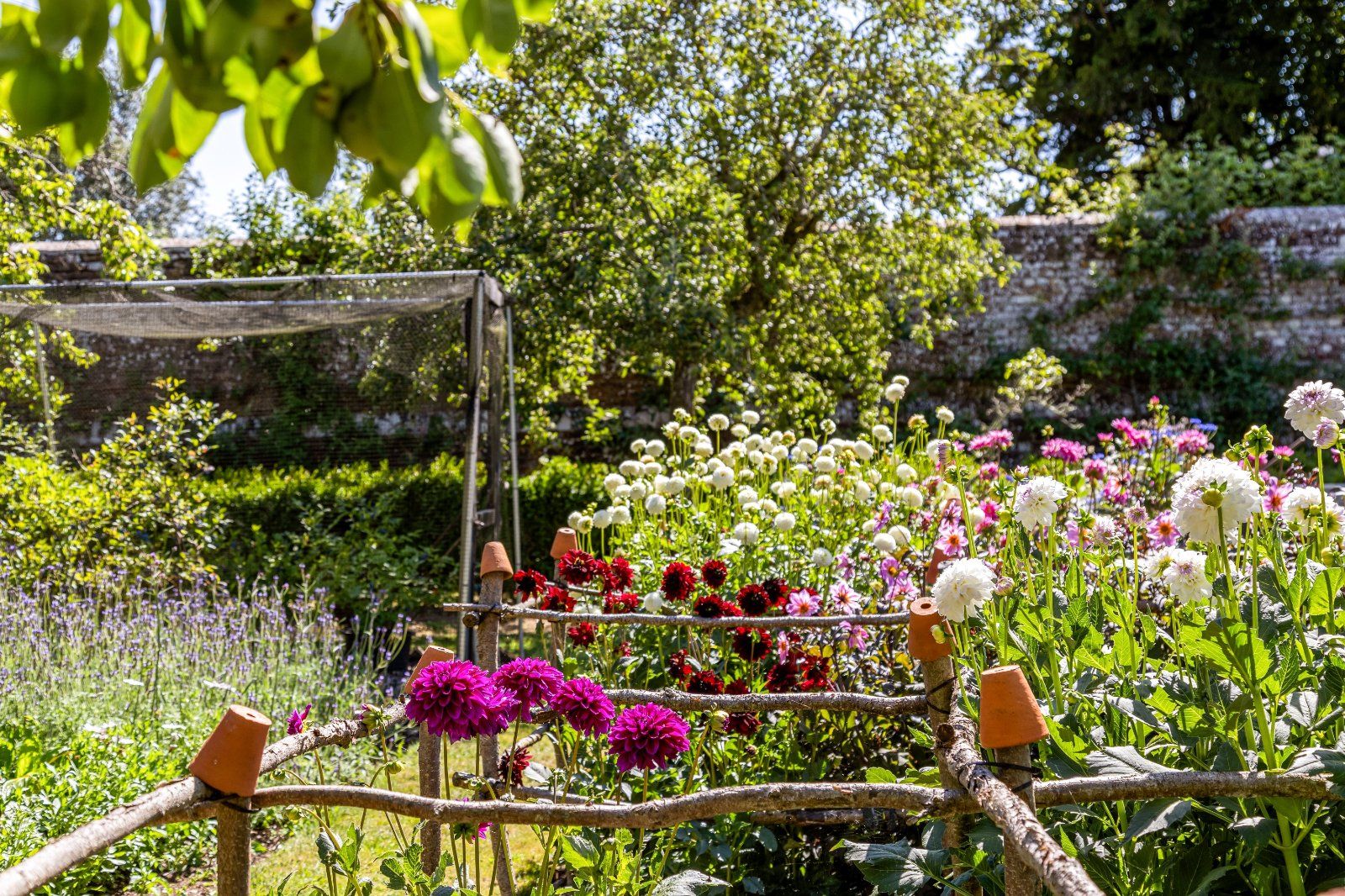 Walled Garden