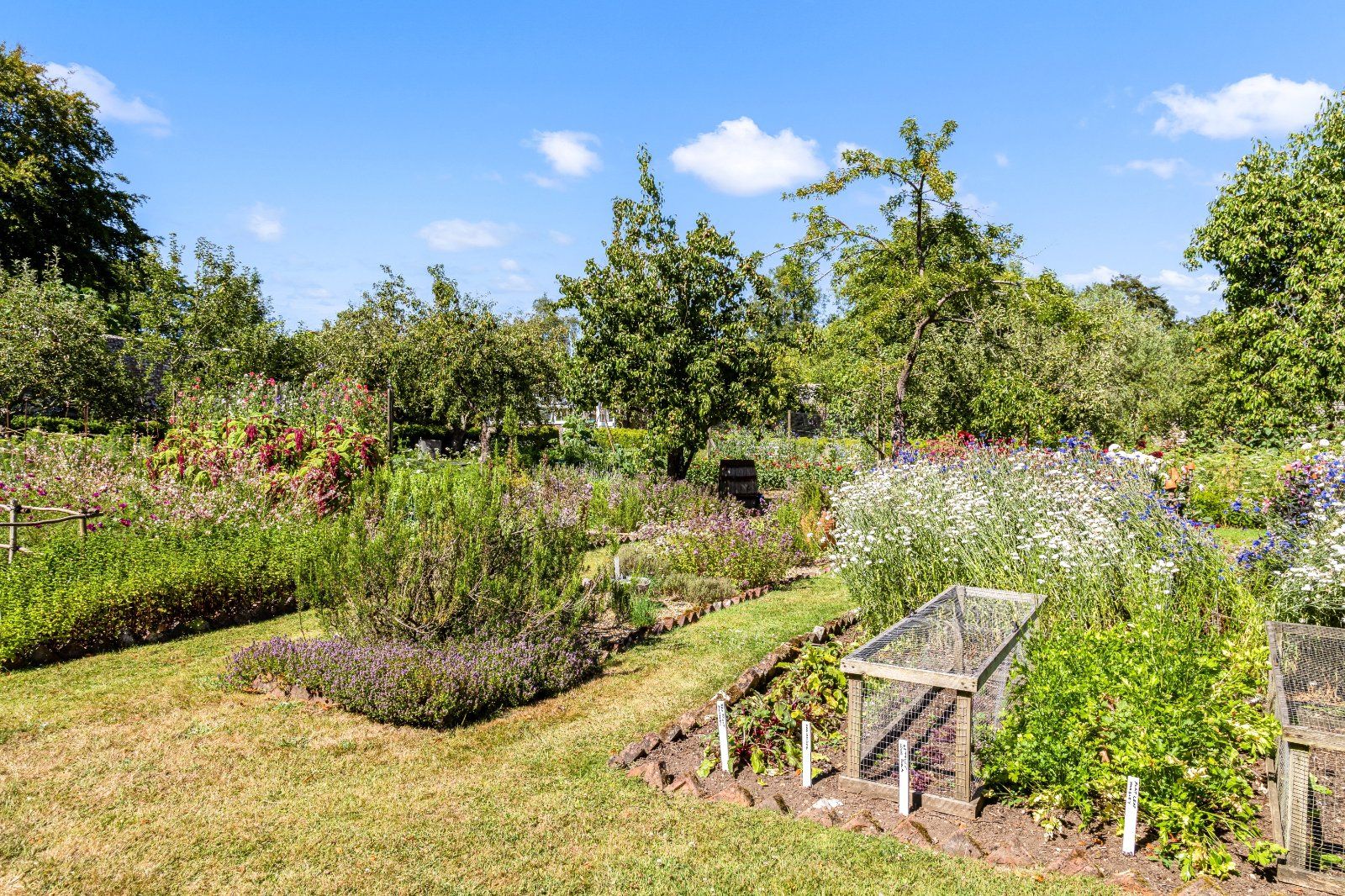 Walled Garden