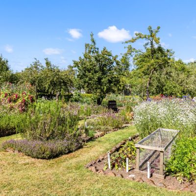 Walled Garden
