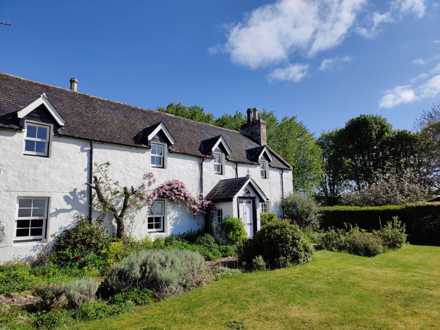 Rosebank House