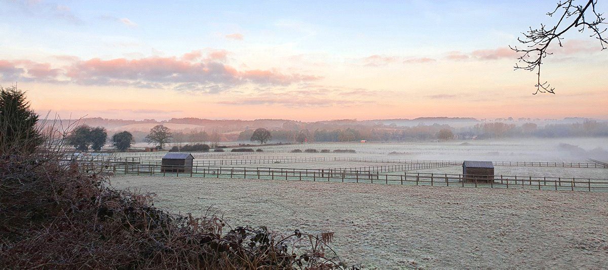 Misty Morning View