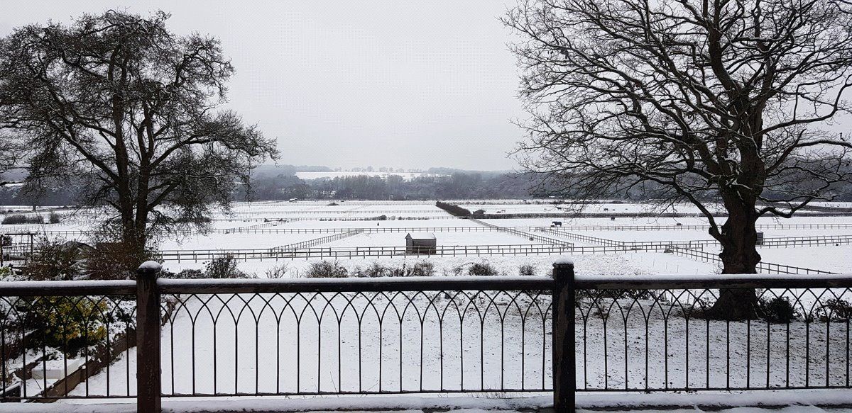 Winter View