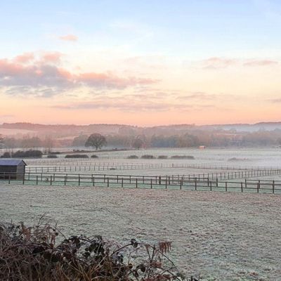 Misty Morning View