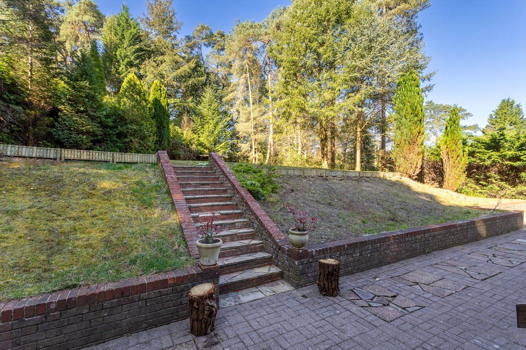 Terrace & Garden
