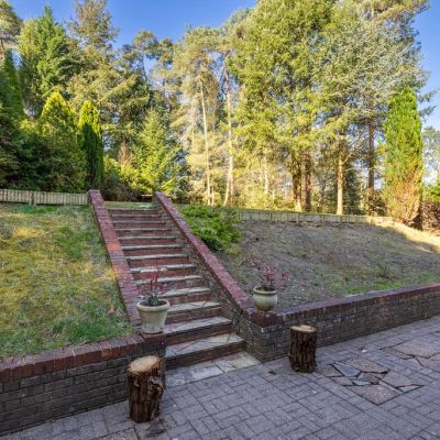 Terrace & Garden