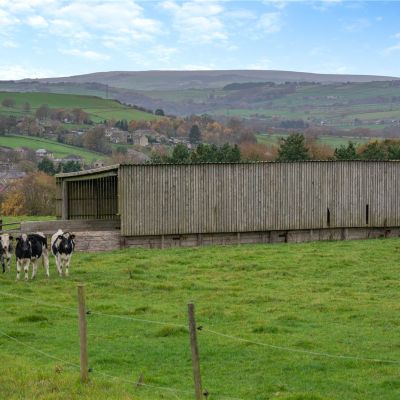 Barn