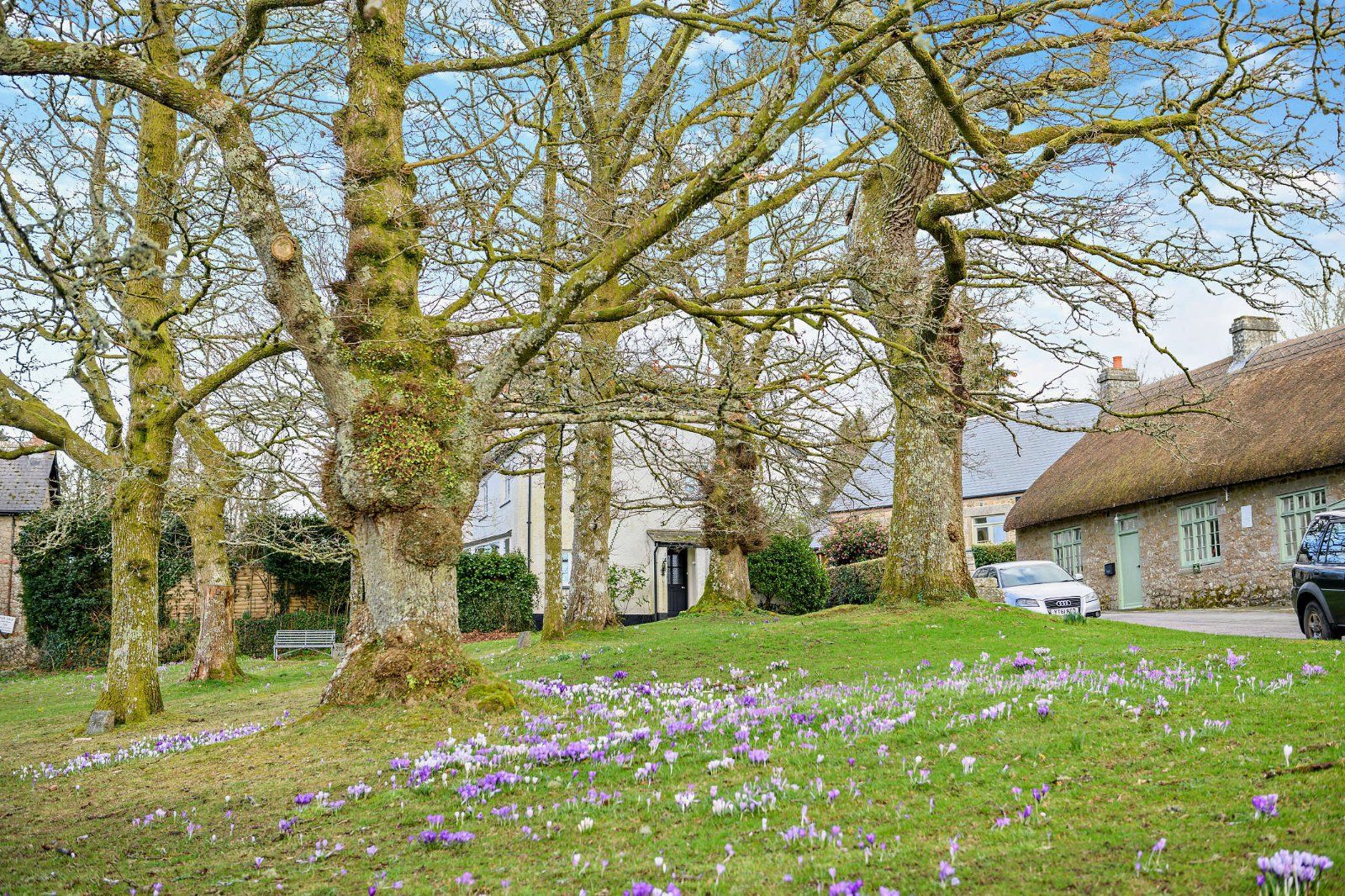 Village Green