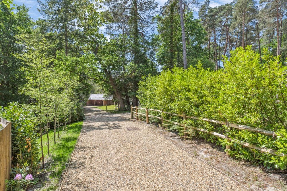 Driveway