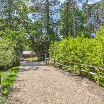 Driveway