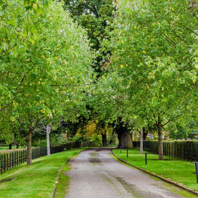 Driveway
