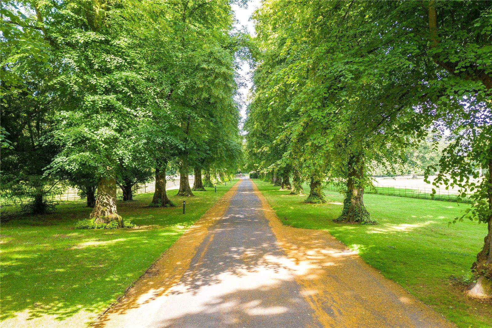 Tree Lined Driveway
