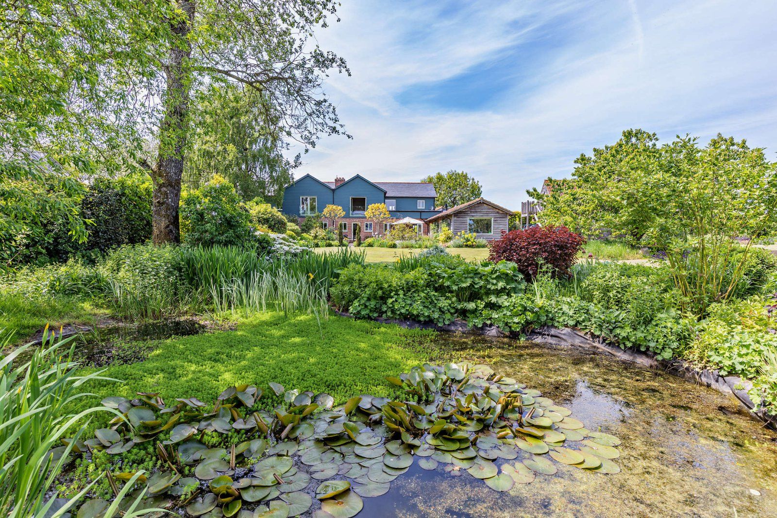 Pond