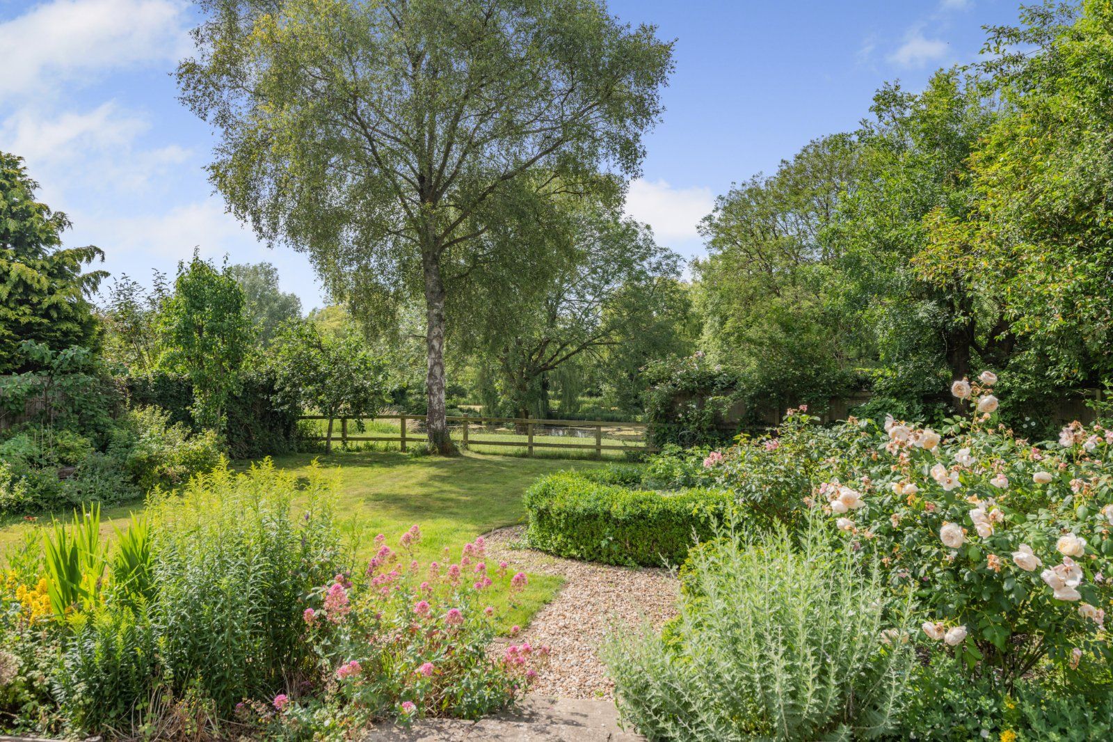 Garden