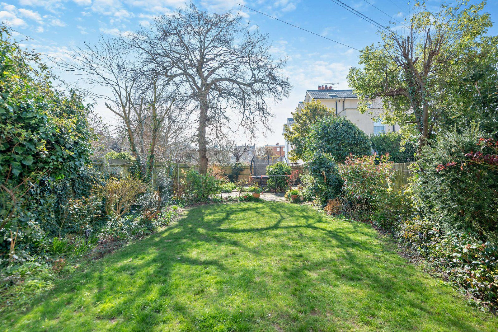 South Facing Garden