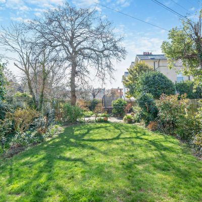 South Facing Garden