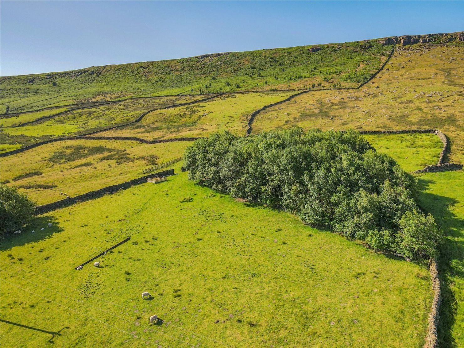 Moorland