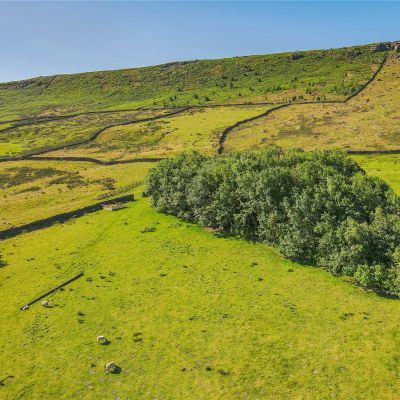 Moorland
