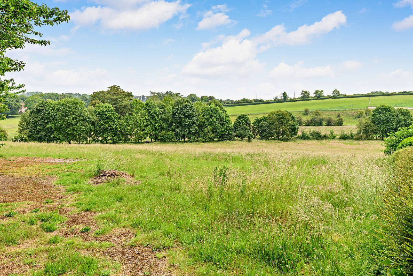 Pasture