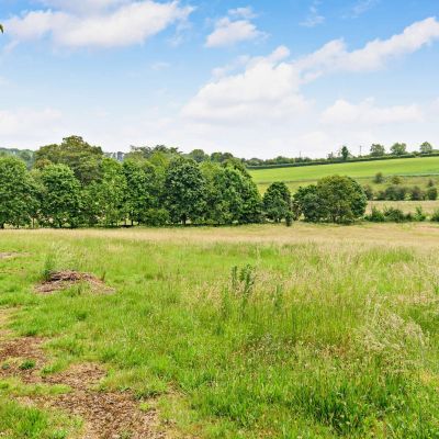 Pasture