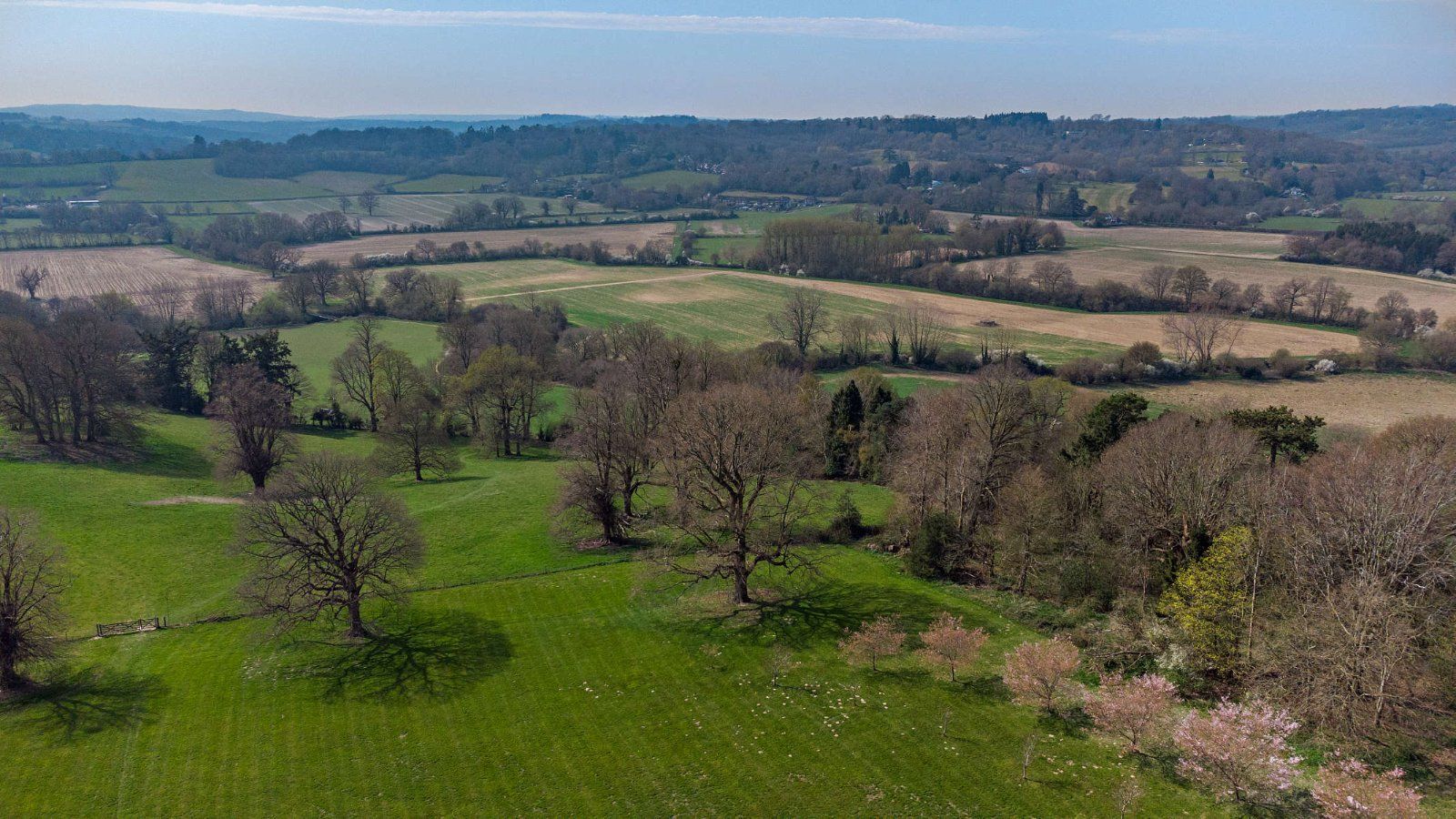 Drone Shot