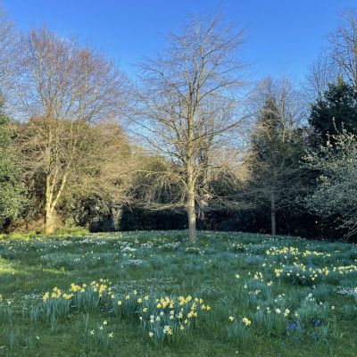Grounds