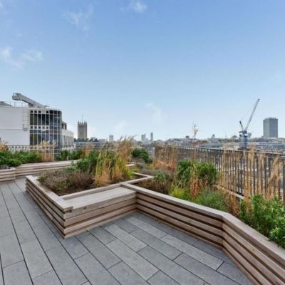 8th Floor sky garden